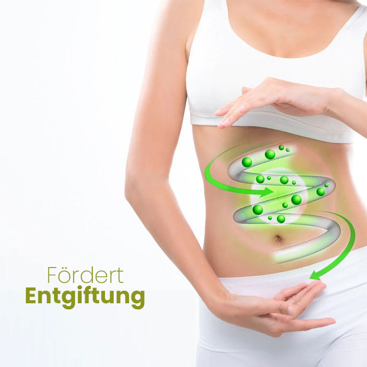 Oveallgo™ HerbalFirm Wunder Cellulite Reduktion Pflaster