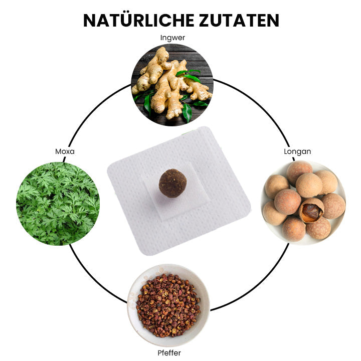 HerbsLabPro Kräuter-Essenz Bauch Entgiftung Pellet