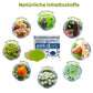 Oveallgo™ Japan PURI Infrarot Suana Therapie Wintergrün Entgiftungspflaster